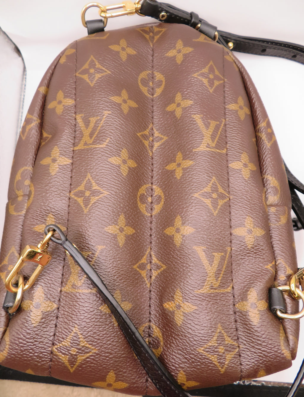 Louis Vuitton Monogram Mini Palm Springs Backpack