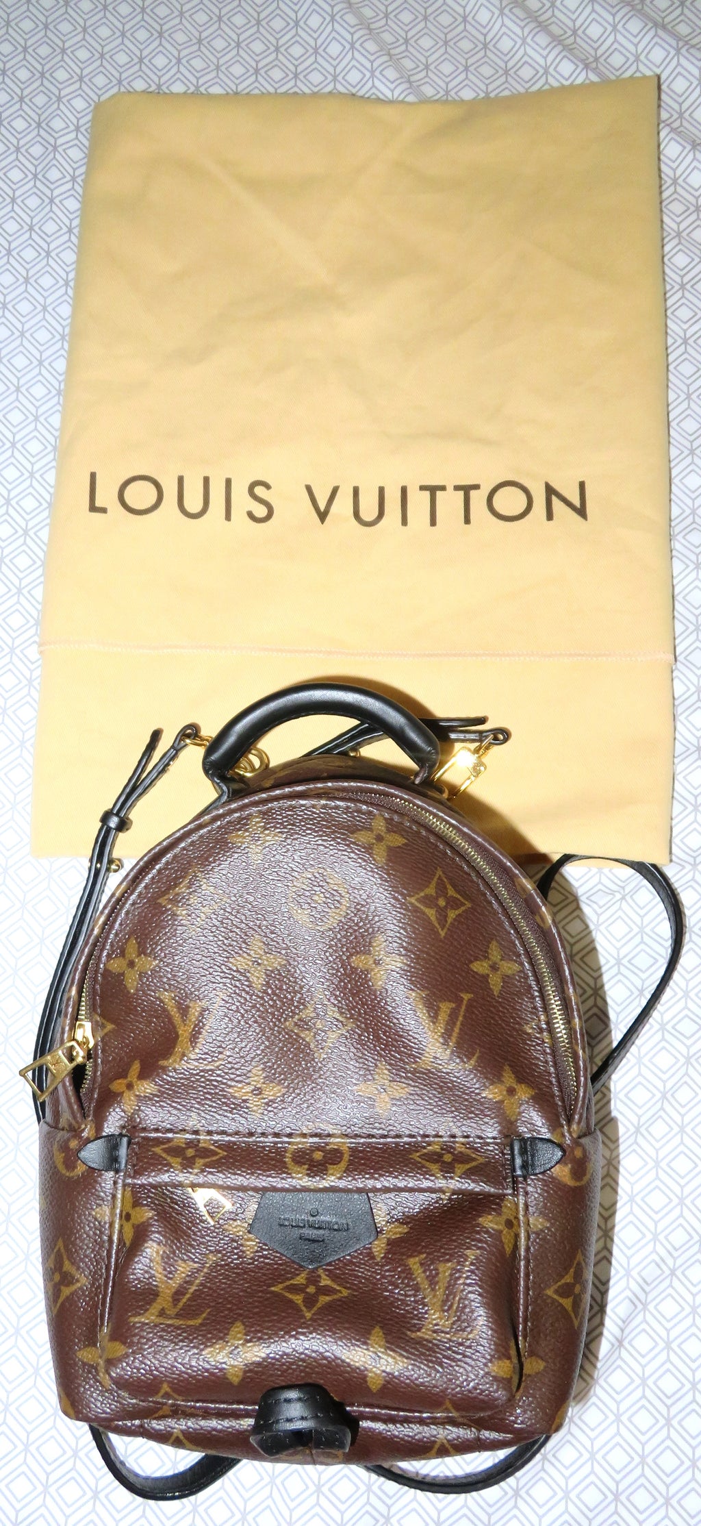 Louis Vuitton Monogram Mini Palm Springs Backpack