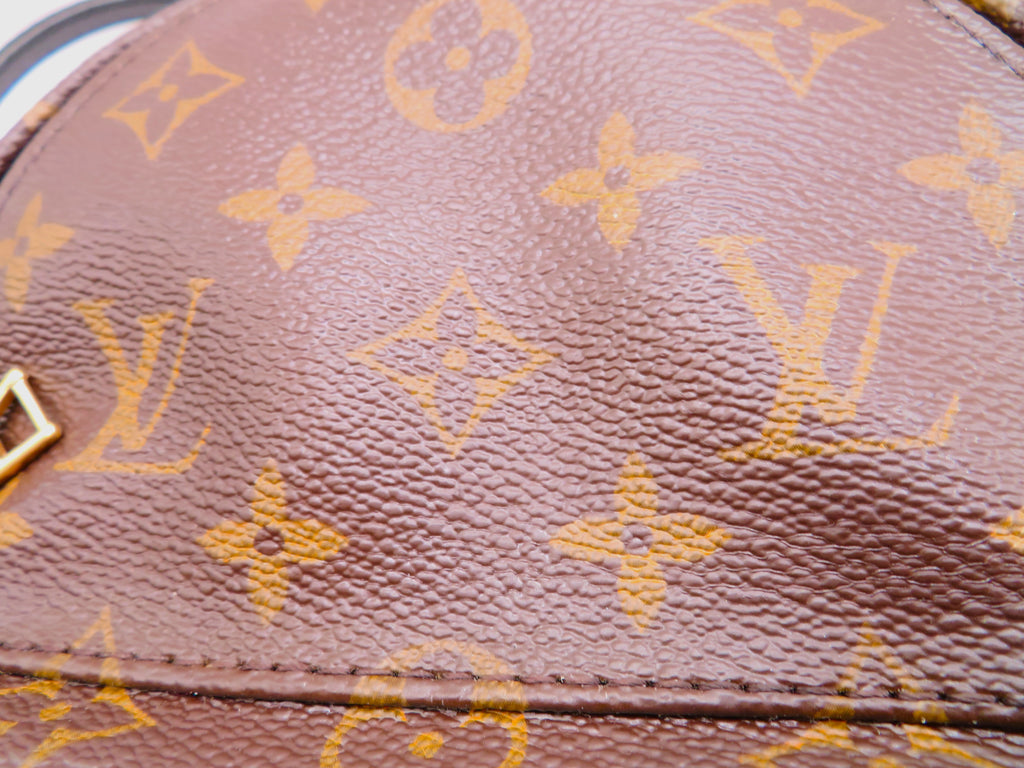 Louis Vuitton Monogram Mini Palm Springs Backpack