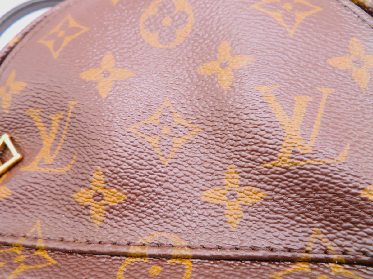 Louis Vuitton Monogram Mini Palm Springs Backpack