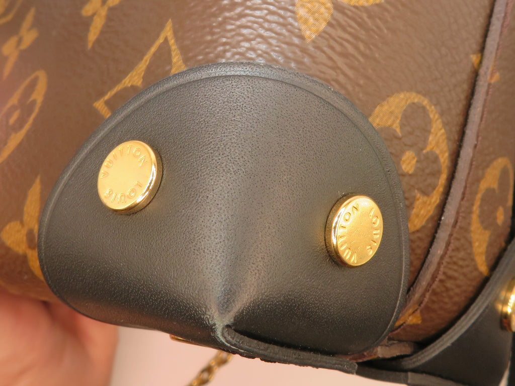 Louis Vuitton Monogram Petite Malle Souple