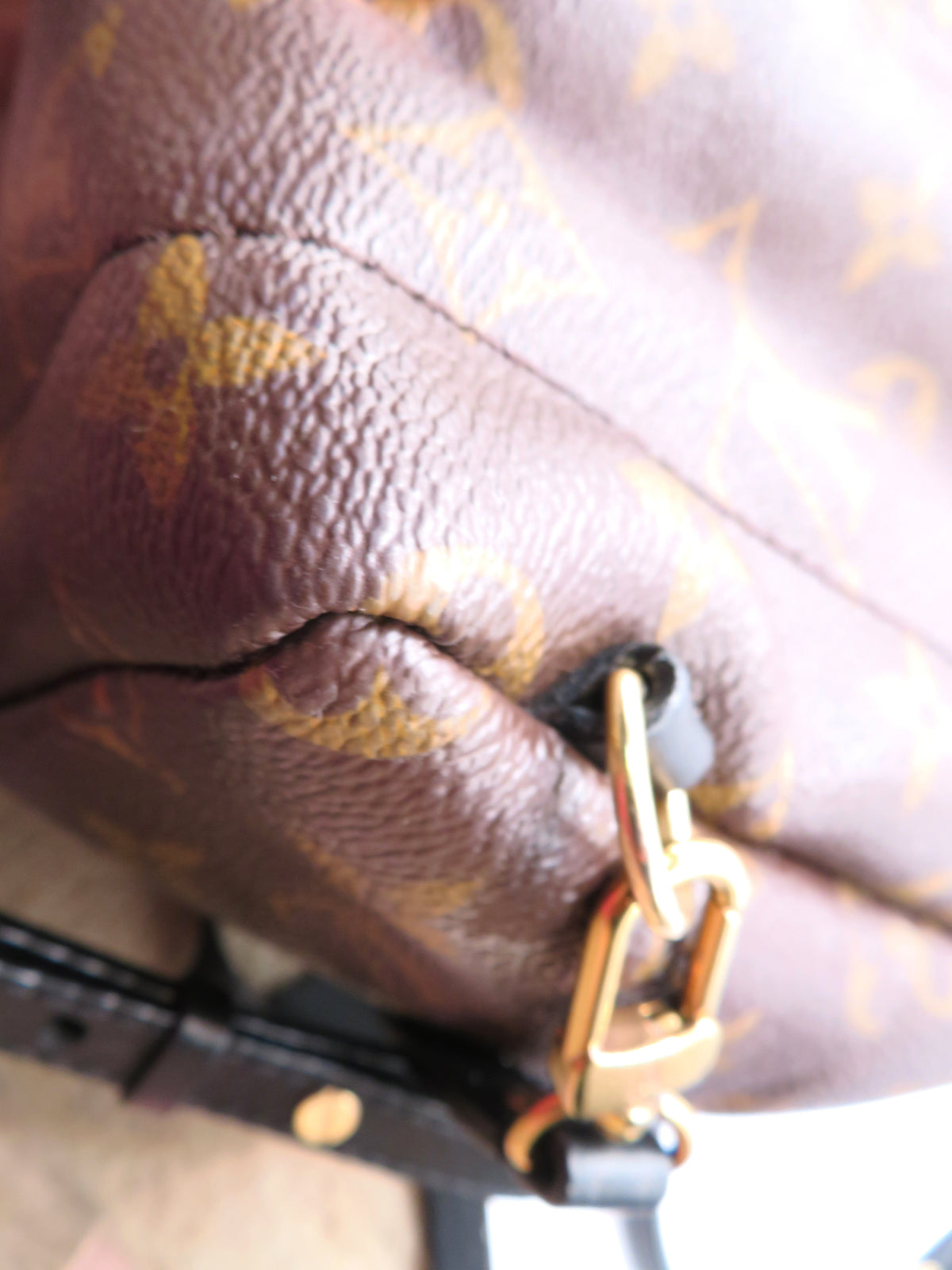 Louis Vuitton Monogram Mini Palm Springs Backpack
