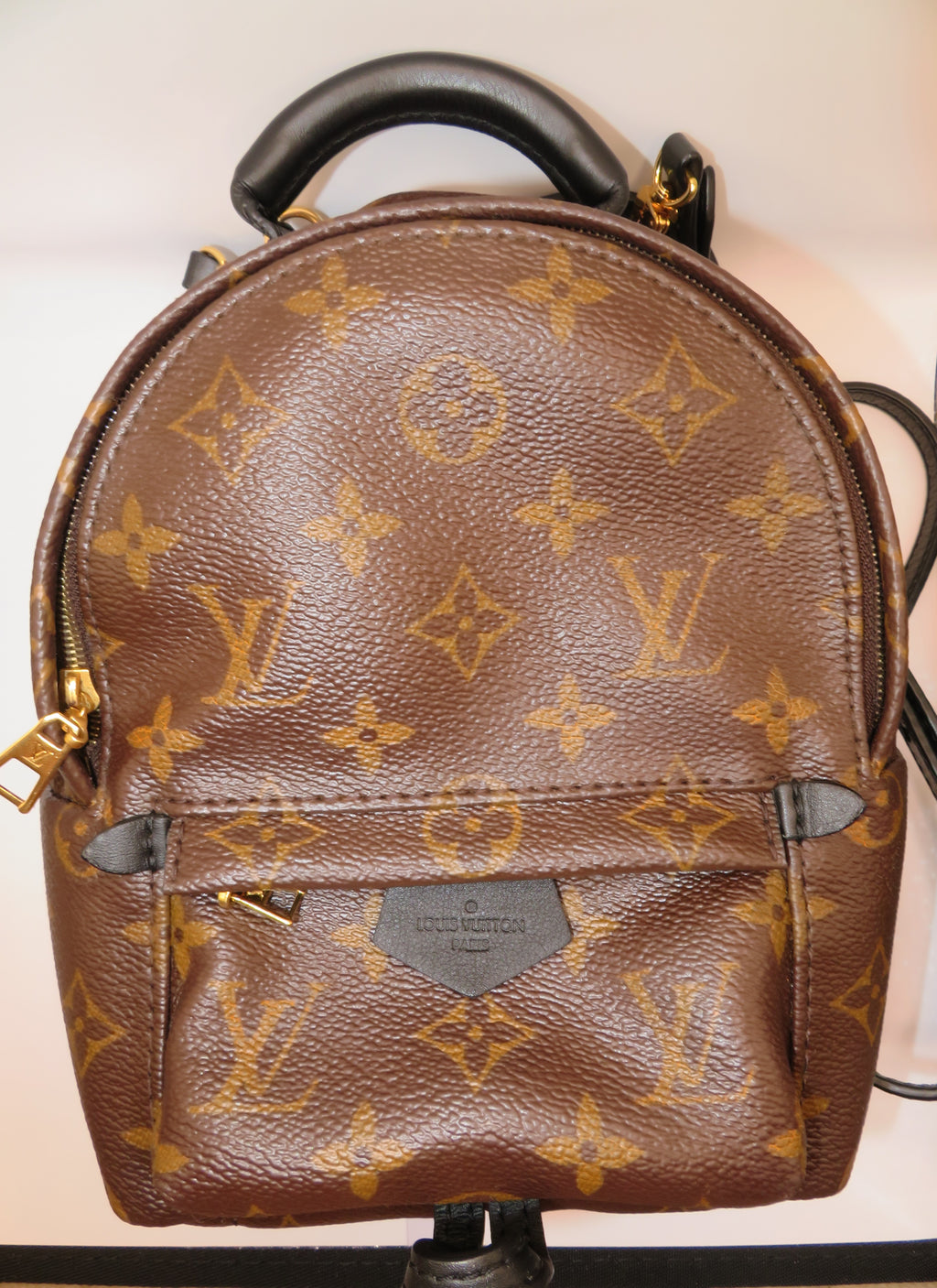 Louis Vuitton Monogram Mini Palm Springs Backpack