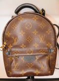 Louis Vuitton Monogram Mini Palm Springs Backpack