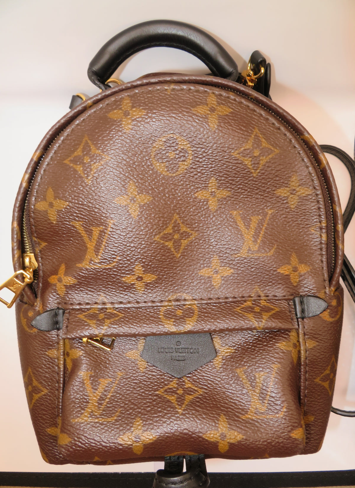 Louis Vuitton Monogram Mini Palm Springs Backpack