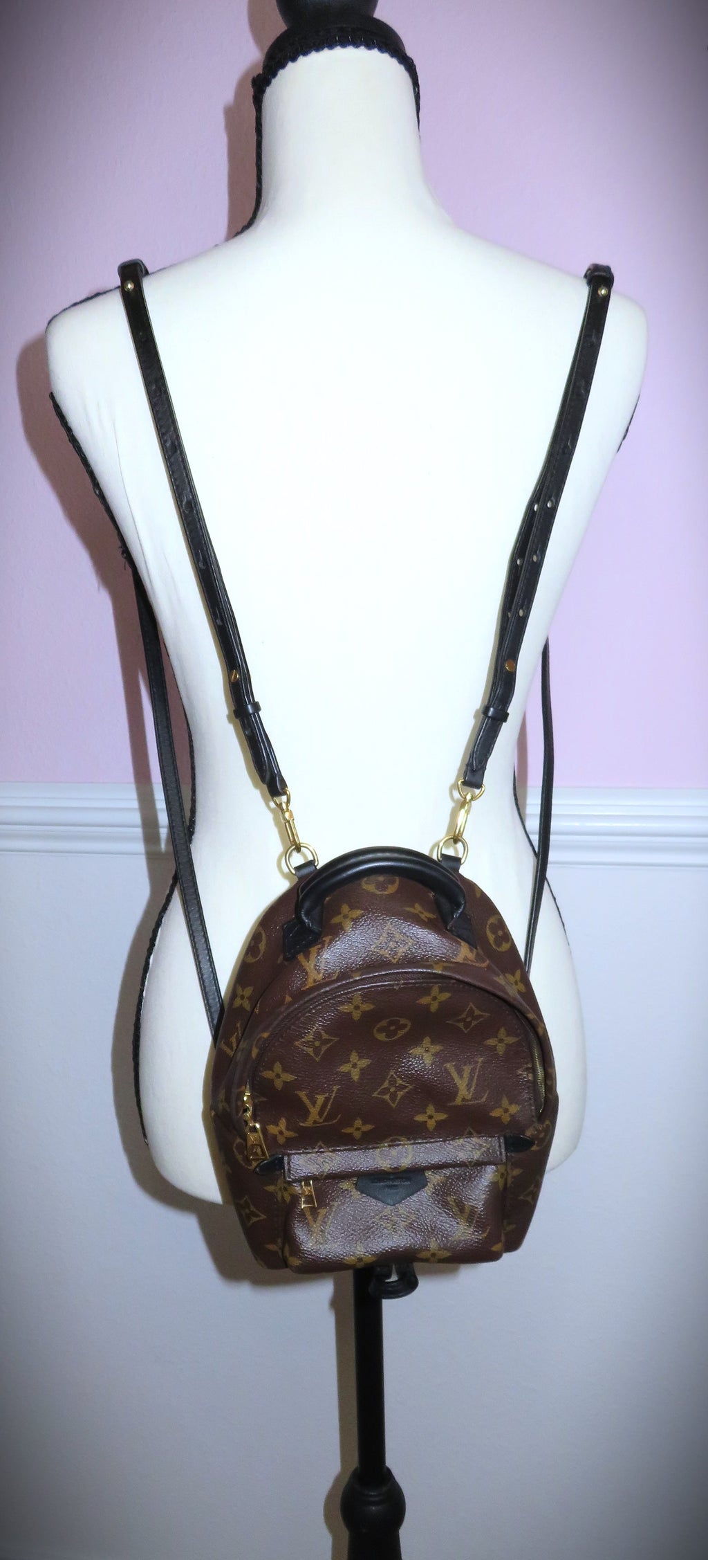 Louis Vuitton Monogram Mini Palm Springs Backpack