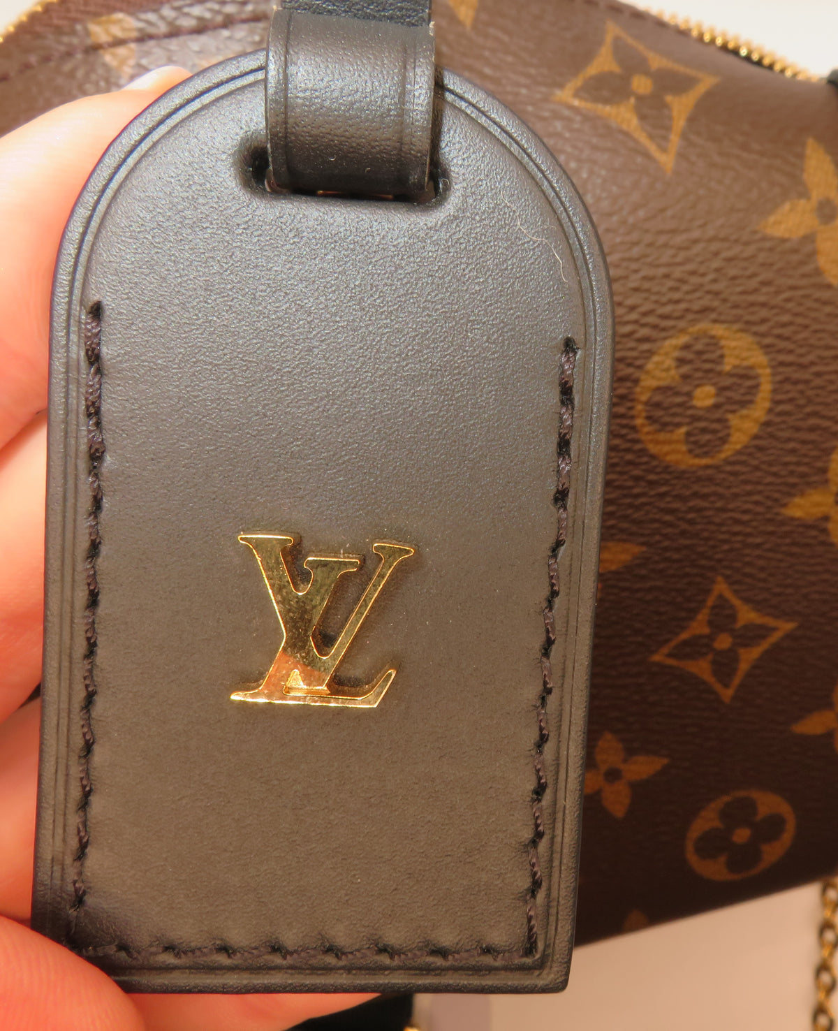 Louis Vuitton Monogram Petite Malle Souple