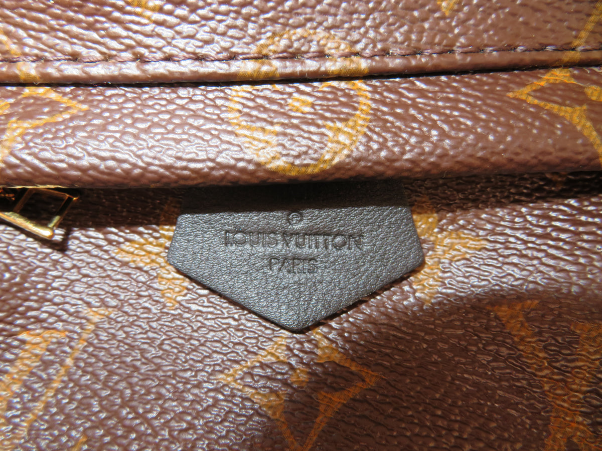 Louis Vuitton Monogram Mini Palm Springs Backpack