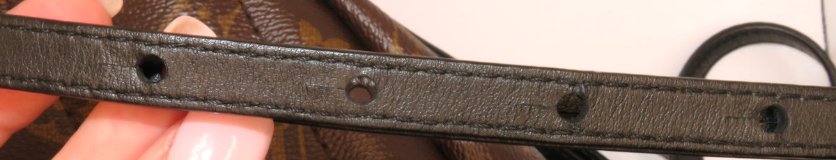 Louis Vuitton Monogram Mini Palm Springs Backpack
