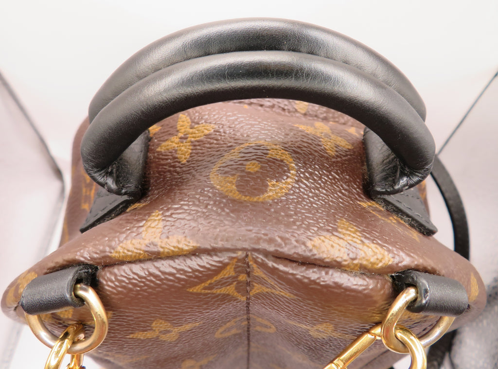 Louis Vuitton Monogram Mini Palm Springs Backpack